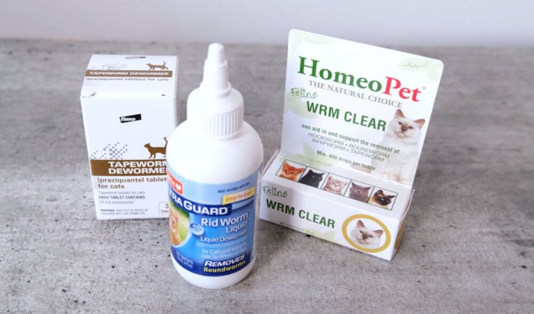 5 Best Cat Dewormers