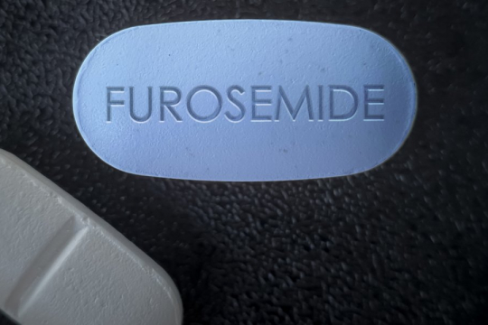 Furosemide for Cats: Overview, Dosage & Side Effects