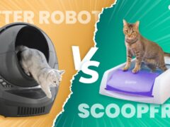 Litter-Robot vs ScoopFree featured image
