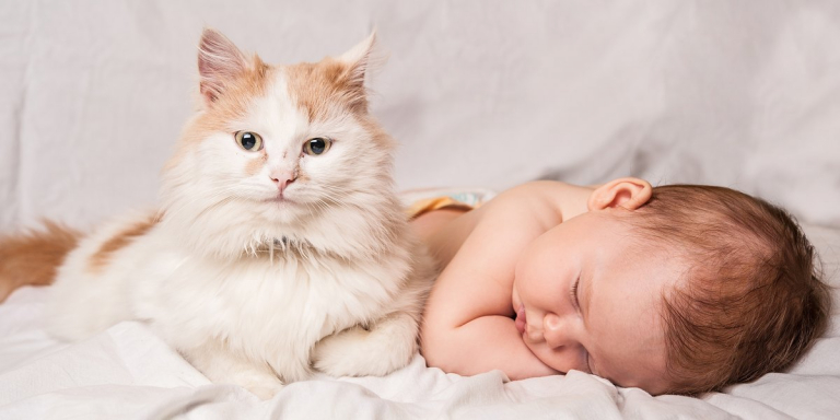 10 Tips To Help Cats And Babies Get Along