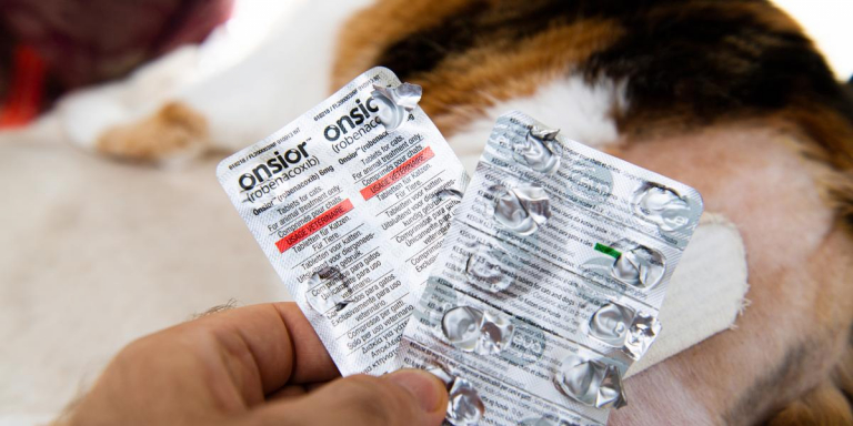 Onsior for Cats: Overview, Dosage & Side Effects