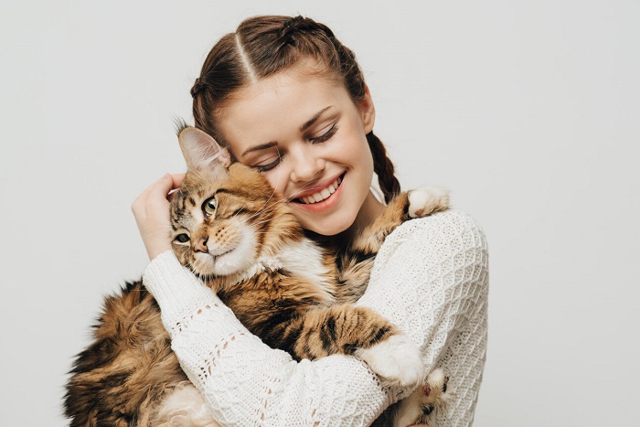 A heartwarming scene unfolds as a cat is embraced in a gentle hug by a pair of loving hands.