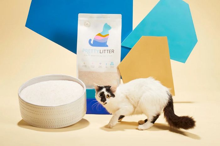 Illustration of what Is PrettyLitter Made Of