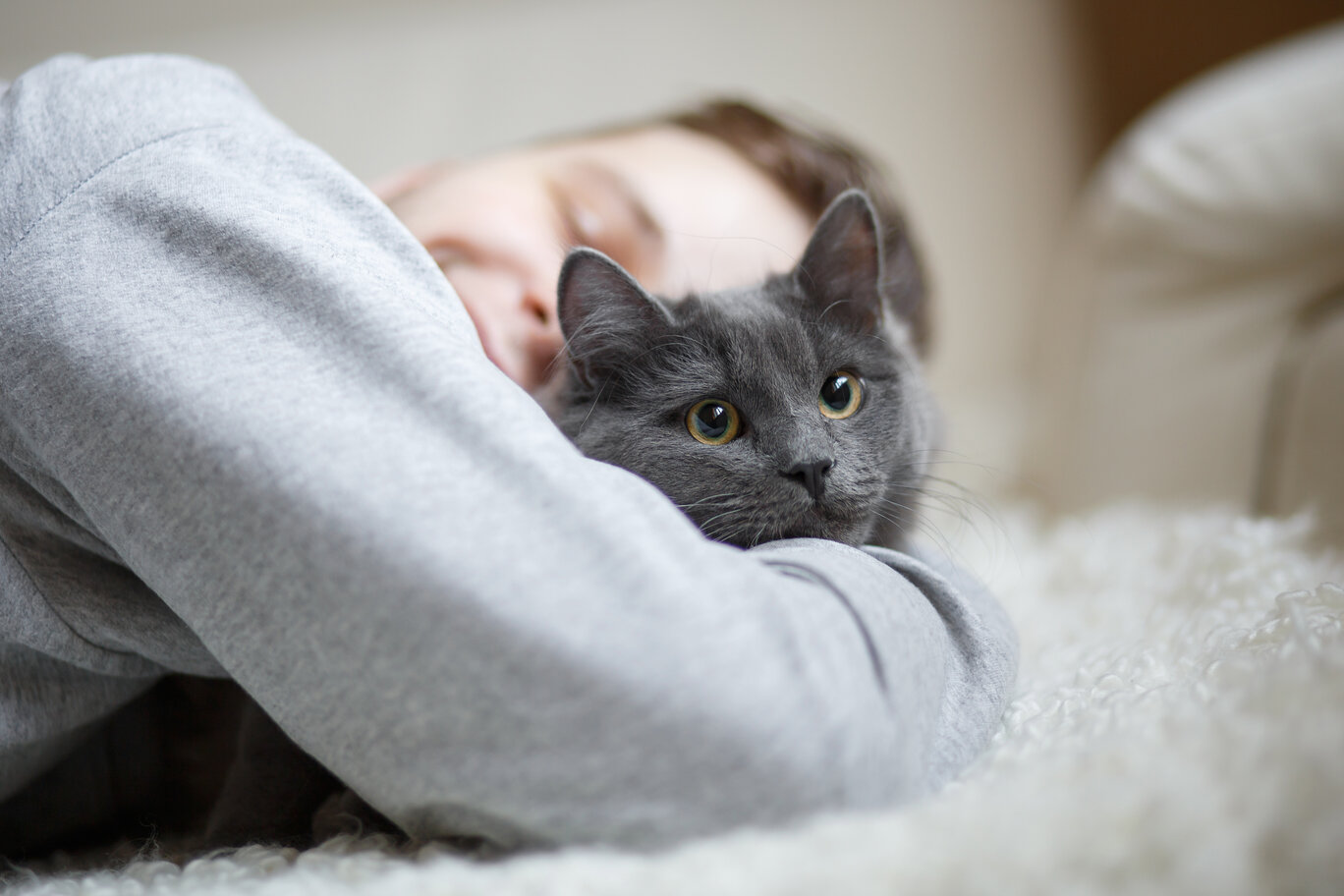 do cats like hugs?