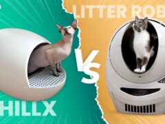 Litter Robot vs ChillX AutoEgg featured image