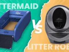 Litter-Robot vs LitterMaid featured image