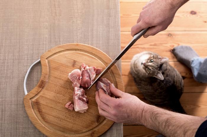 Image portraying a human cutting pork, potentially raising questions about sharing with cats.