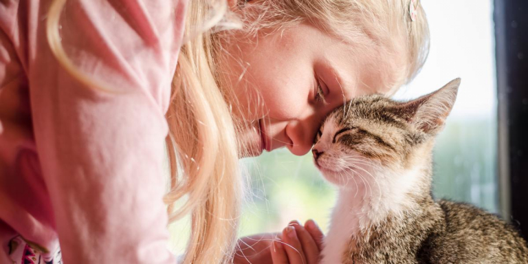 5 Ways To Build a Stronger Bond With Your Cat