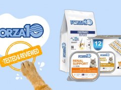 Brand Review - Forza10