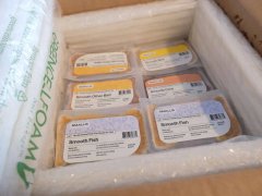 Best Fresh Cat Food Meal Delivery Services Featured Image