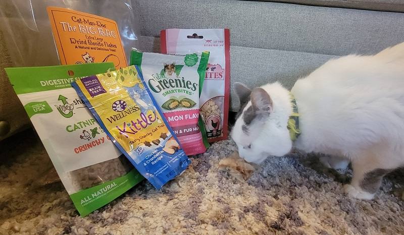 Best Cat Treats in Canada