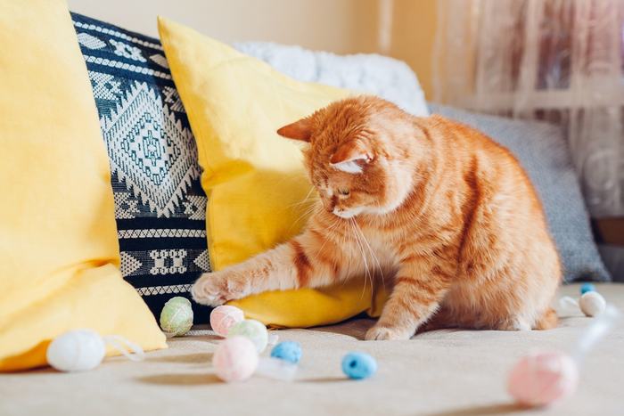 Ginger cat fully engaged in play, pouncing with excitement and enthusiasm, capturing the joyful essence of feline playtime.