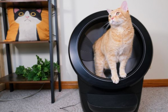 Litter-Robot 4 Review (We Tested It For Months)