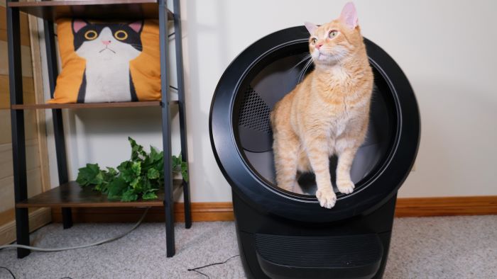 Litter-Robot 4 Review (We Tested It For Months)