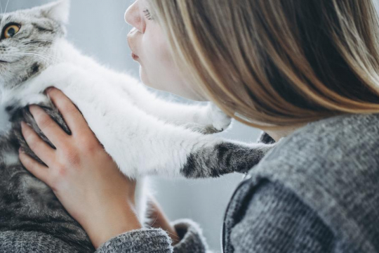 Why Isn’t My Cat Affectionate?