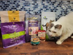 Best Duck Cat Food Formulas