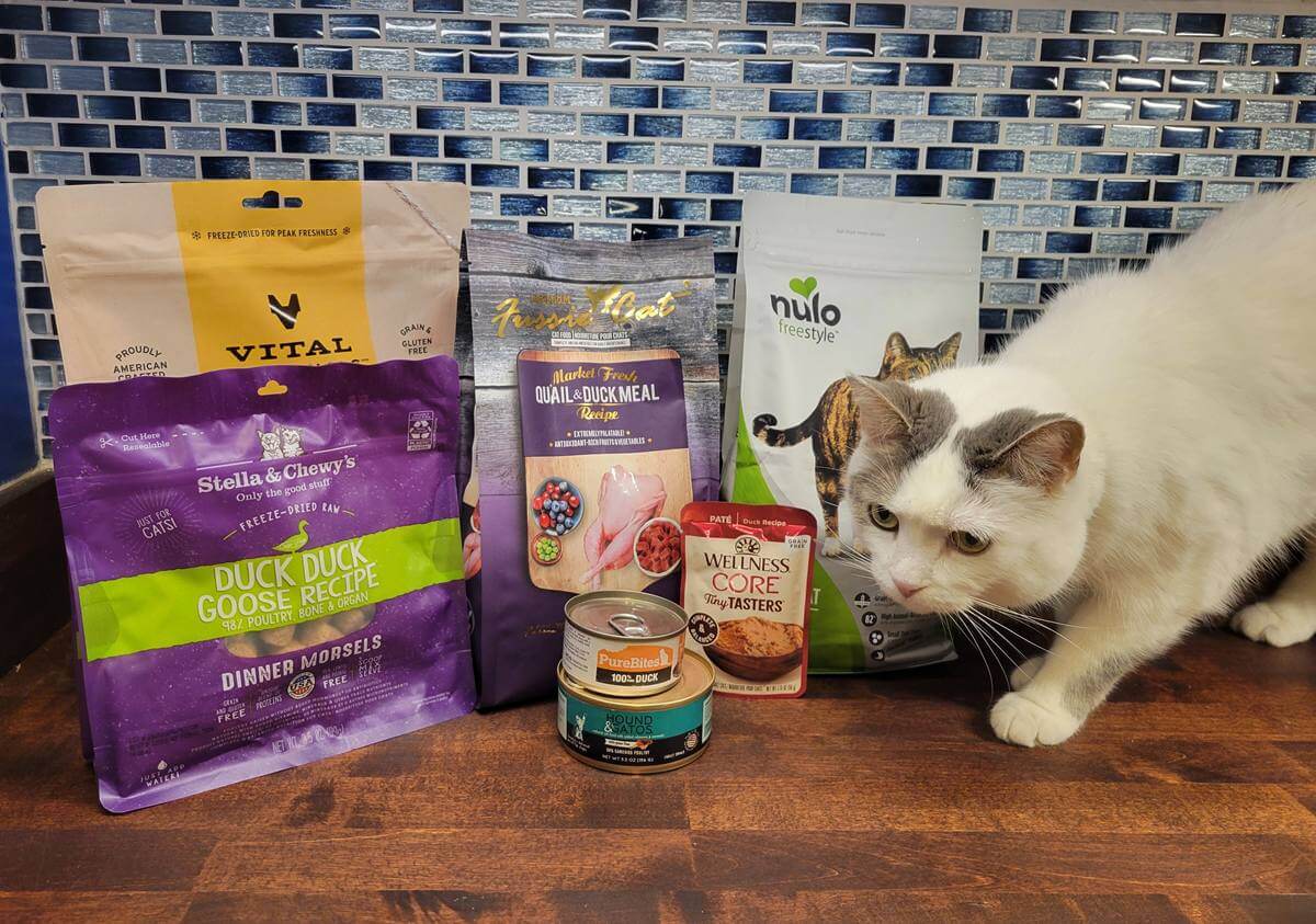 Best Duck Cat Food Formulas