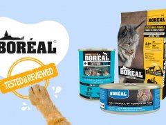 Boreal Cat Food Brand Review