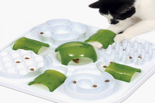 5 Reasons Puzzle Feeders Are Good For Cats