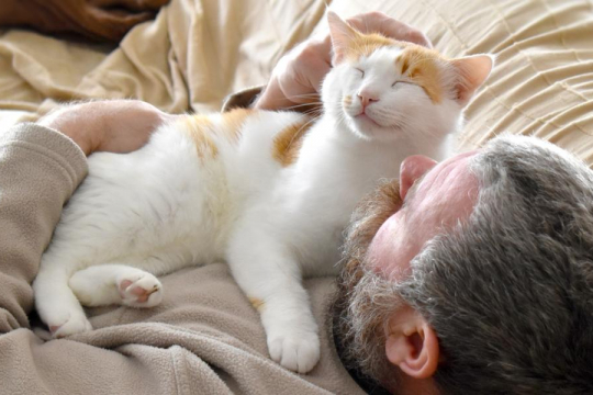 Why Does My Cat Lay On My Chest