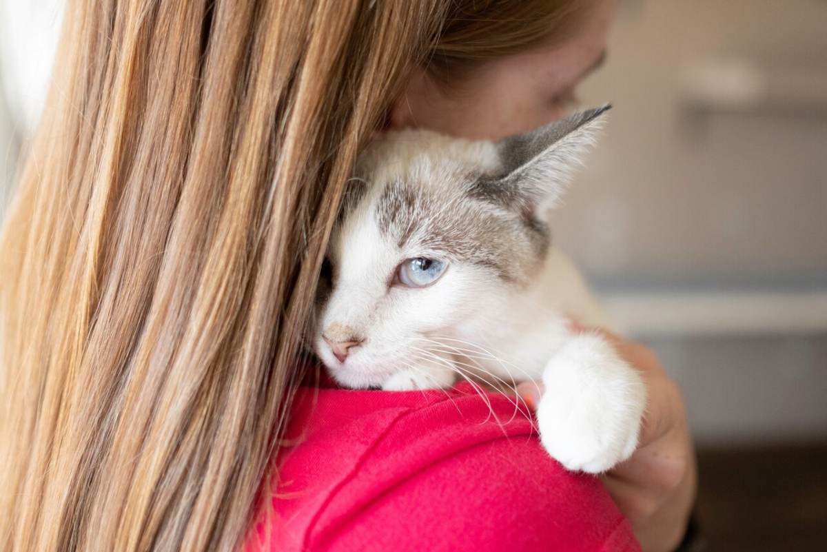 a lady embracing her cat with affection, showcasing the deep bond between human and feline companionship, and the warmth and comfort shared in their embrace.