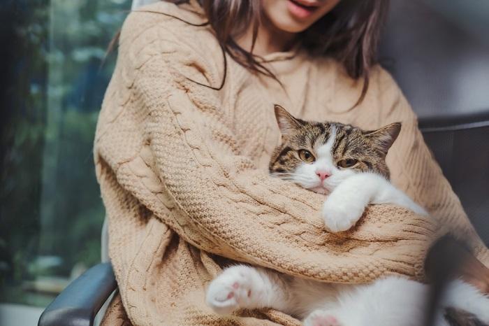 A woman holding a cat, demonstrating the bond between humans and their feline companions.