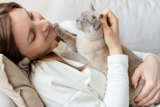 Why Do Cats Sit On Your Chest? 10 Reasons Why!