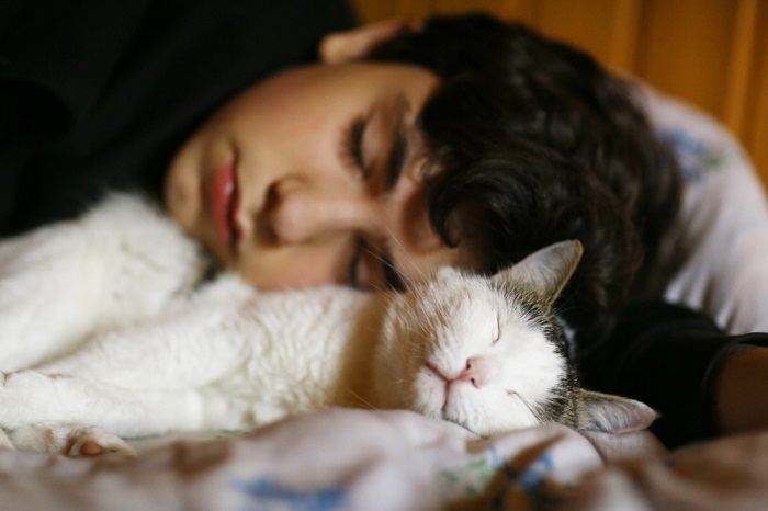 Cat in a peaceful sleep.