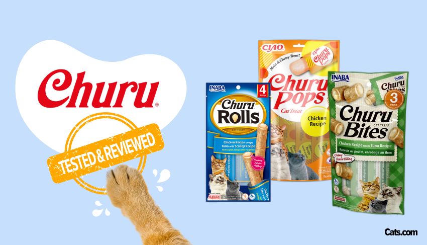 Inaba Churu Cat Treats Brand Review