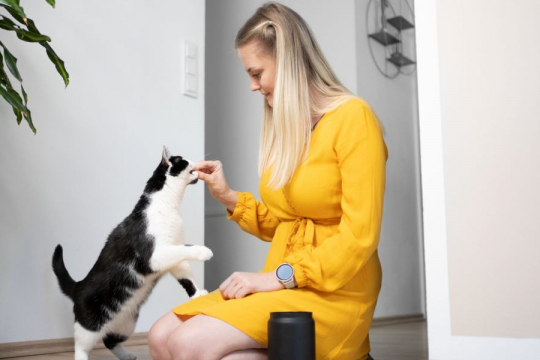 My Cat Won't Leave Me Alone – 5 Possible Reasons