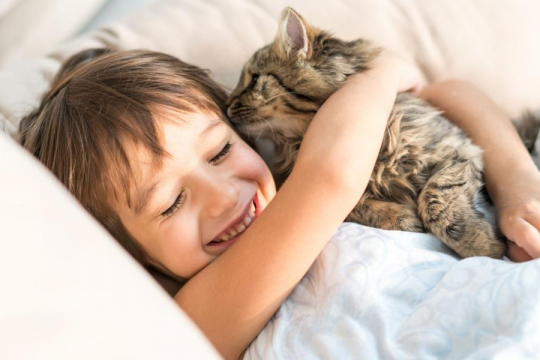 Why Does My Cat Lick My Hair? A Veterinarian Explains