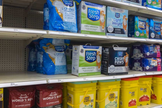 10 Affordable & Eco-Friendly Cat Litter Alternatives