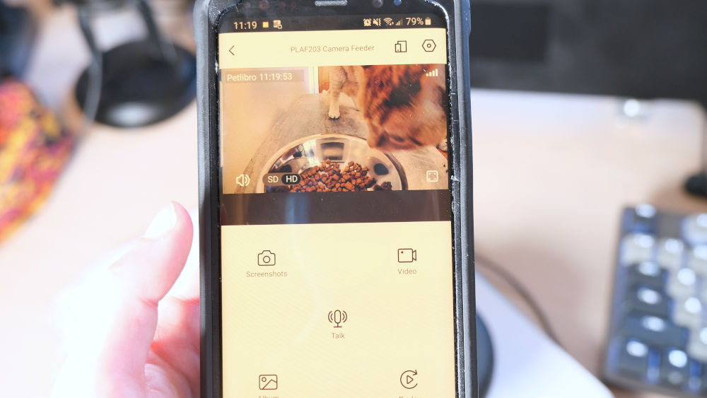 Monitoring cat use with camera