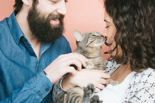 Why Does My Cat Like Me But Not My Husband?