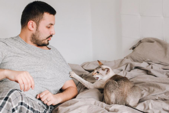 Why Does My Cat Hiss At My Partner?