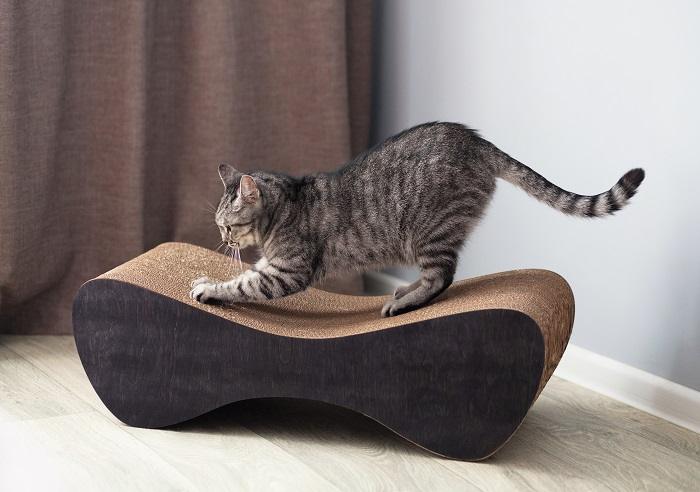 Cat scratching on a scratching post