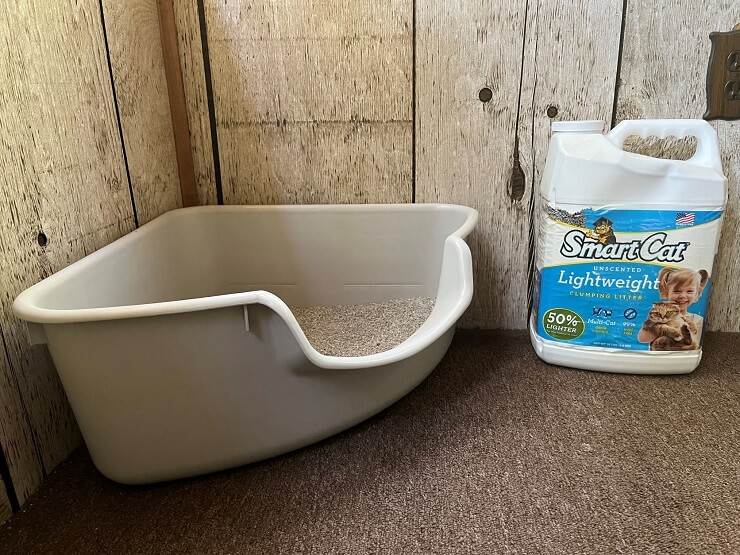 Pioneer Pet SmartCat Litter