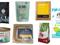 Best Kitten Foods In The UK featured image