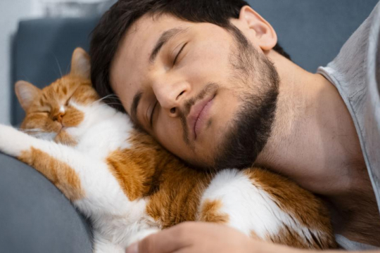 Why Do Cats Like to Cuddle & Snuggle? Top 6 Reasons