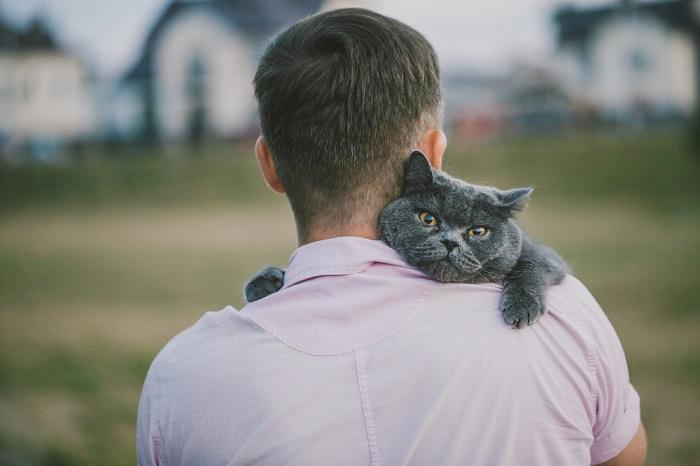 Image showing a man holding his cat in a warm embrace, both radiating a sense of comfort and companionship in a home environment.