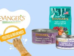 Brand Review - evangers