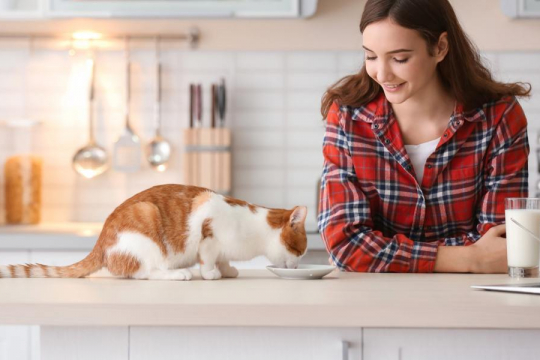 Why Does My Cat Want Me To Watch Her Eat?