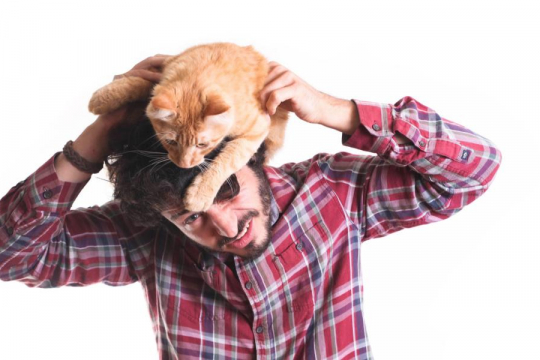 Why Do Cats Sneak Around?