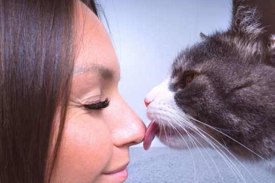 Why Does My Cat Lick Me And Not My Husband?