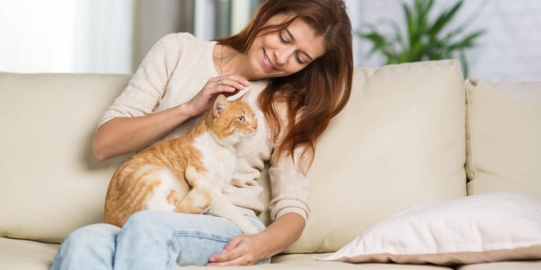 Does My Cat Think I’m His Mom? The Answer Might Surprise You…