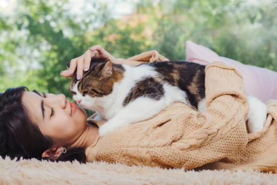 Why Does My Cat Always Want To Cuddle?