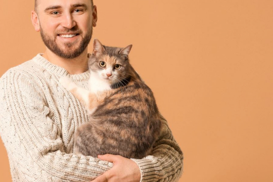 How To Hold A Cat Without Getting Scratched