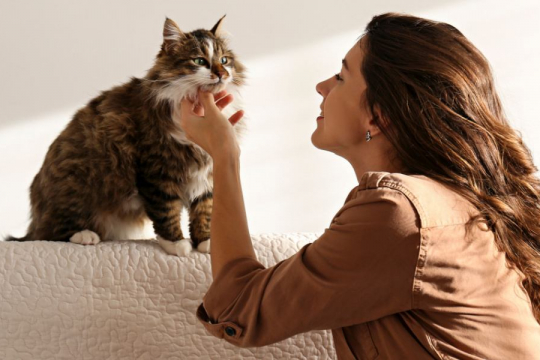 New Cat Owner Anxiety: Why It Happens & How To Overcome It