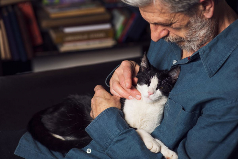 Research Suggests Cats Enjoy Spending Time With Humans Over Cats