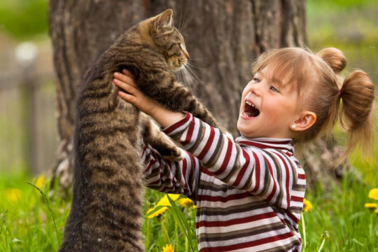 How To Get a Cat’s Attention in 7 Simple Steps